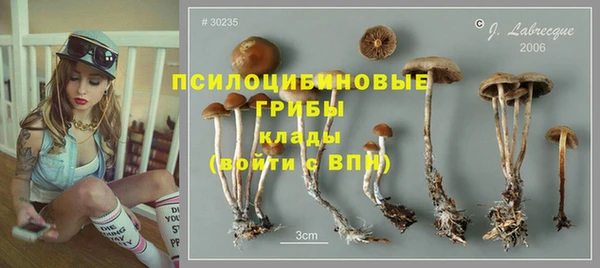 дживик Коряжма