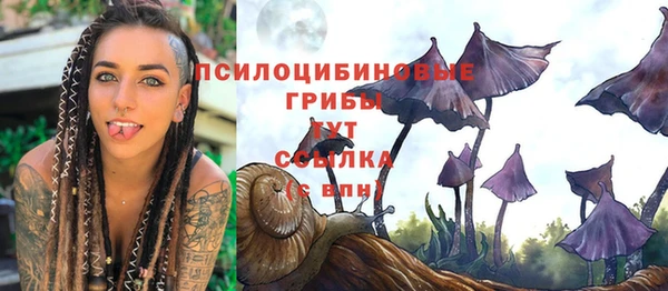 дживик Коряжма